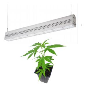 Wholesale Green House Waterproof LED Grow Lights Replacing HPS And HID 3 Years Warranty from china suppliers