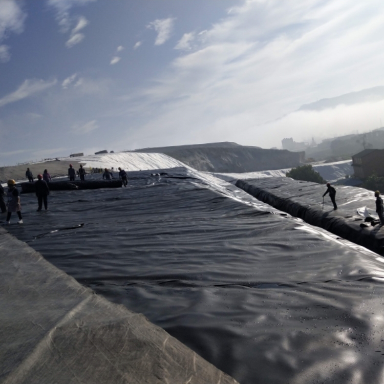 Black High Density Polyethylene EVA Geomembranes for Prefabricated Plastic Pond Liners
