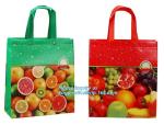 High quality Promotional custom shopping non woven bag with print logo
