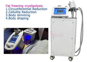 Wholesale 4 Handle Fat burning Cryolipolysis Machine For Home Use from china suppliers