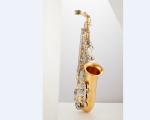 Good quality musical instrument alto saxophone Made In China Superior Quality