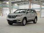 Multi Purpose Gorgeous City SUV Car 4*2 Drive Gasoline Engine Fuel Saving