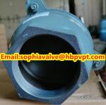 BRITISH STANDARD BS21 cast iron threaded foot valve