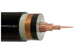 Single Core XLPE Insulated Power Cable Copper Conductor with the Metal Screen