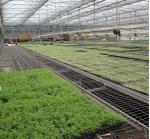 Hot Dip Galvanized Greenhouse Planting Beds