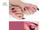 Stiletto Rose Red And Black DIY Fake Nails OEM Fashion Printing