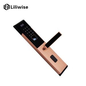 Wholesale Combination Keypad Hotel Door Locks OLED Display With Password Card from china suppliers