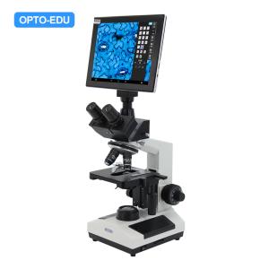 Wholesale OPTO-EDU A33.1019 3W LED 5.0M 1600x Laboratory Biological Microscope from china suppliers