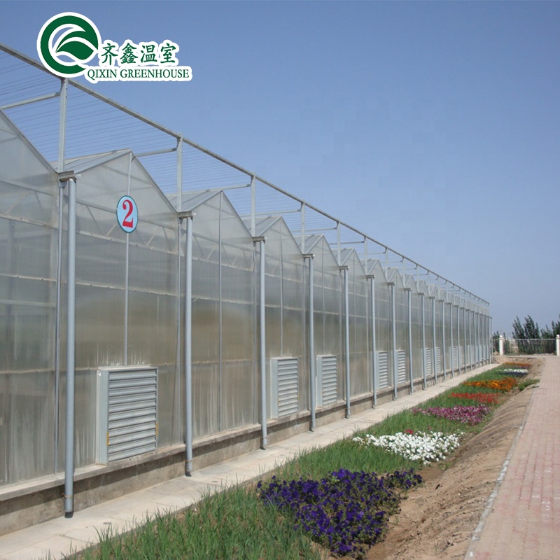 Glass Greenhouse Ventilation System with Tempered Glass or PC Sheet Top Covering