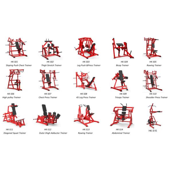 Rowing Trainer Plate Loaded Gym Equipment Home Gym 1560*1430*1470mm