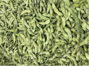 China HALAL Certified High Protein Frozen Edamame Beans on sale