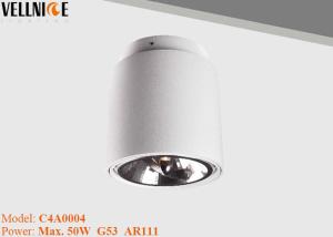 Wholesale AR111 Surface Mount LED Lights , ceiling recessed cob led downlight housing business from china suppliers