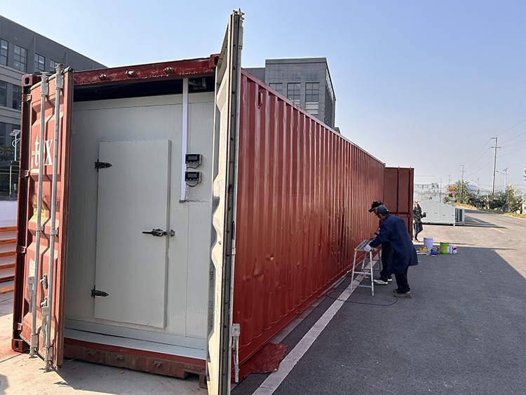 20ft 40ft Movable Refrigerator Cold Storage Room Container -30 to 30 Centigrade Inside Temperature Approval BV GL