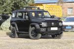 Tank 300 Young People Automatic Fuel Powered Car 5 Seats High Speed