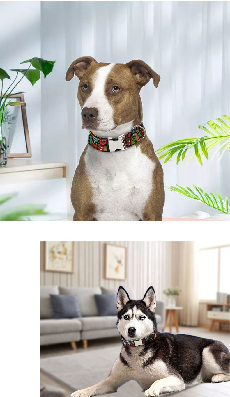 Heat Transfer Personalized Pet Collars Metal Buckle Custom Dog Collars
