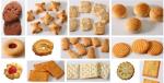Pet Food Biscuit Production Line Biscuit Oven Plant Biscuit Line