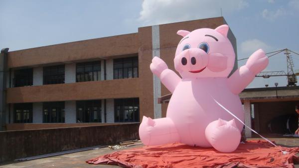 Inflatable advertising cartoon / inflatable advertising pig / inflatable