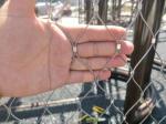 stainless steel netting mesh