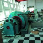 Direct Injection Pelton Turbine Generator