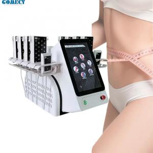 Wholesale GOMECY 2023 6 In 1 Laser Lipo Fat Loss Body Slimming Weight Loss Salon Laser Beauty Machine from china suppliers