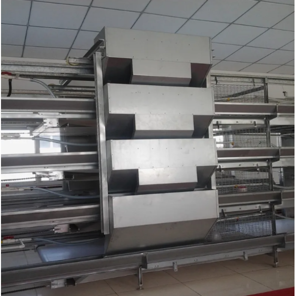 Hot-dip Galvanized Automatic Broiler Chicken Cage System with Adjustable Vents and Corrosion Resistant Design