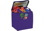 Large Insulated Cooler Bags Durable For Ourside Picnic Custom Logo Print