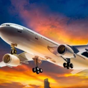 Wholesale Low Ticket International Dropshipping Business E-Commerce From Shanghai Yiwu China To United States from china suppliers