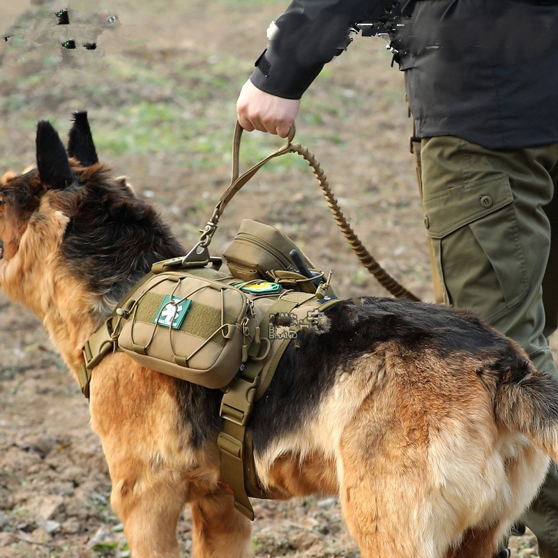 dual handle dog leash