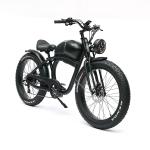 Vintage 26*4.0 Fat Tire Electric Bike OEM with Torque of 80-90 Nm and F R Disc