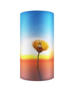 China P6 Rental LED Display Screen Flexible Outdoor Curved LED Screen For World Cup Billboard on sale