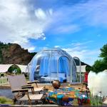 Beach Bubble Tent House Party PC Aluminium Bubble Garden Tent