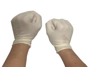 Wholesale S M L XL Powder Free Disposable Vinyl Gloves For Foodservice white from china suppliers