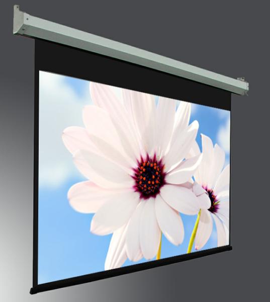 400 " large Projection Screen , Electric Projection Screens with Tubular Motor