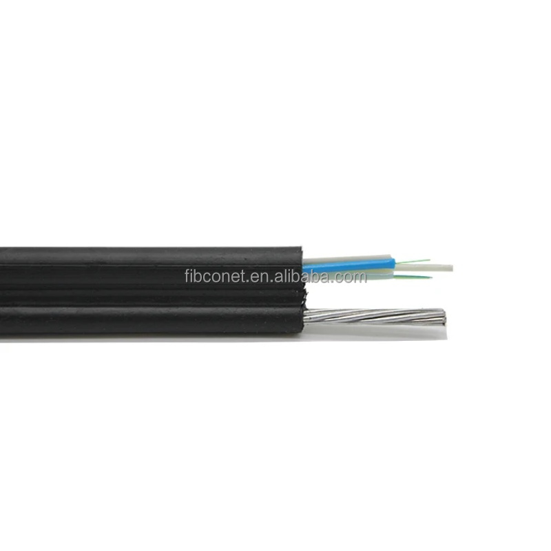 Fiber Optic Cable G657A 24 Core Armored Self-Supporting Outdoor Waterproof GYTC8S