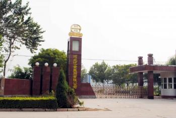 Hebei Reking Wire Mesh Co.,Ltd