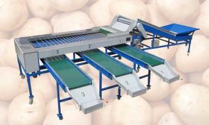 Wholesale Automatic Rolling Rod Type Potato Grader Machine from china suppliers