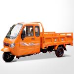 Dayang Tricycle 200cc/250cc/300cc Motorcycle with 5.00-12 Tyre and 1000kg