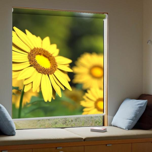 China Supplier Window Curtain 3D Printed Roller Shade European Cartoon Cute