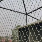 Aisi 316 304 7 X 7 Ss Rope Mesh X Tend Cable Zoo Animal Aviary