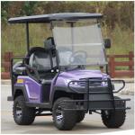 Electric Fuel 4 Wheel Four Person Golf Cart With Rear Seat , Purple Color