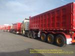 60T Shipping Container Van Curtain Trailer 12R22.5 Tire