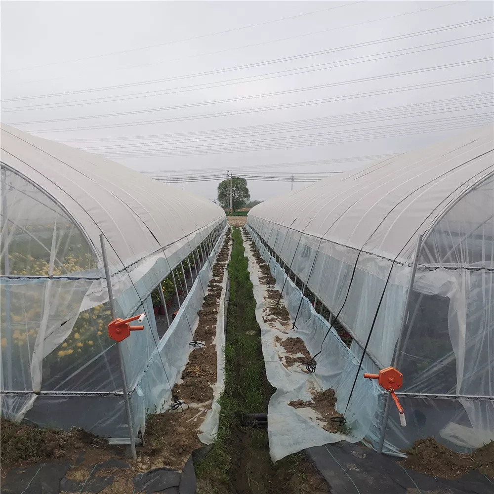 Commercial Plastic Film Galvanized Transparent Tunnel Plastic Greenhouse