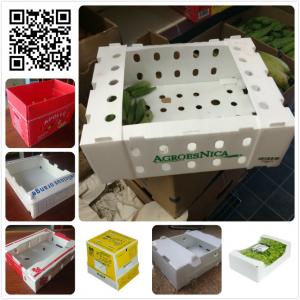 Fresh plastic 5kg 10 lbs okra asparagus green bean packaging box