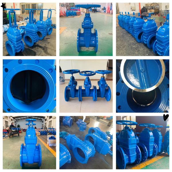 Pn16 Non Rising Stem Gate Valve GGG50 Ductile Iron Flange End Rubber Seat