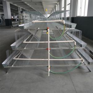 Wholesale Q235 Steel Wire Baby Chick Cage 264 Birds Feeding System Drinking System from china suppliers