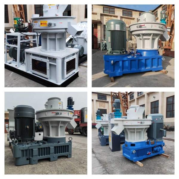 1~3t/H Ring Die Biomass Fuel Wood Pellet Mill With 8mm Pellets For Home Heating