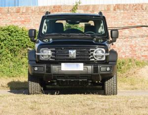 Wholesale Cool 2023 Tank 300 2.0T City Model Challenger Version Compact SUV 5 Door 5 Seats from china suppliers