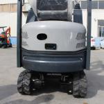 Diesel Engine Powered Mini Crawler Excavator 1000Kg Internal Combustion Drive