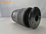 Air Ride Suspension For Pickup Trucks W01-358-9265 W013589265 For 85101155