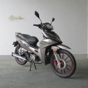 Wholesale 6.5KW Front Disc Brake TR135-NG Cub Motorcycle from china suppliers